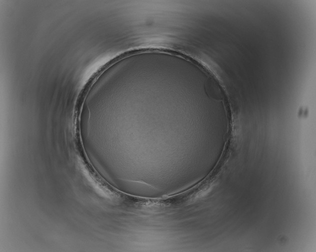 X0000111211077200907151432