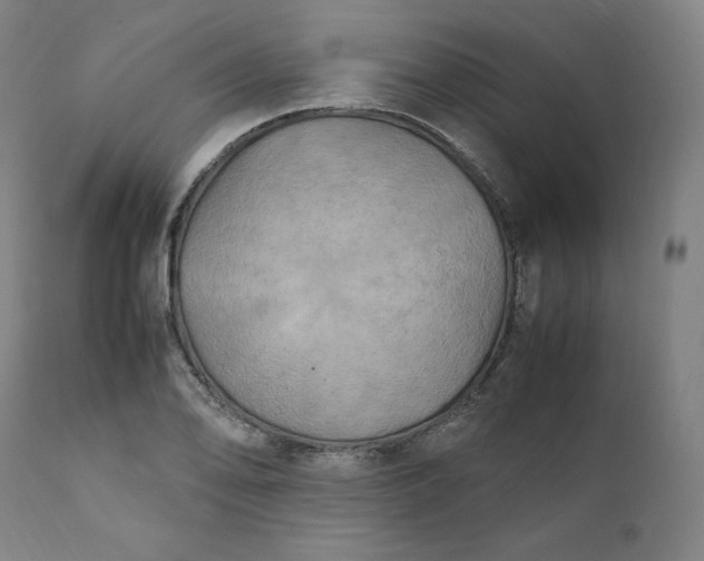 X0000111211078200907151432