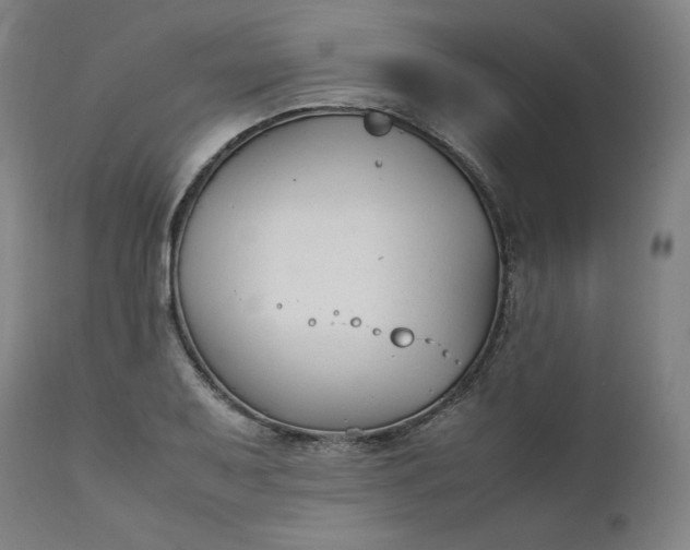 X0000111211079200907151432