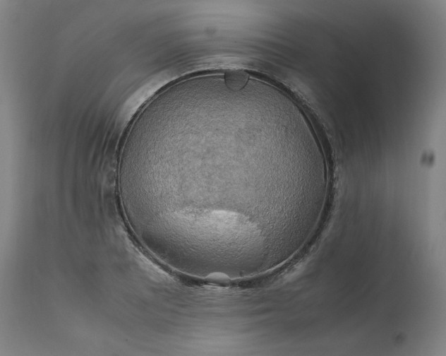 X0000111211081200907151432