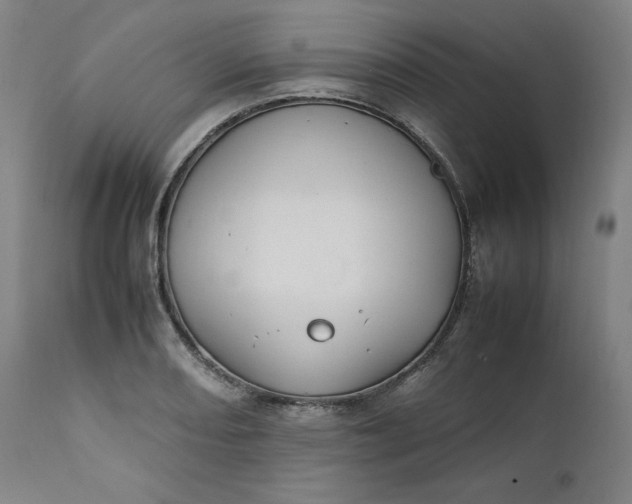 X0000111211082200907151432