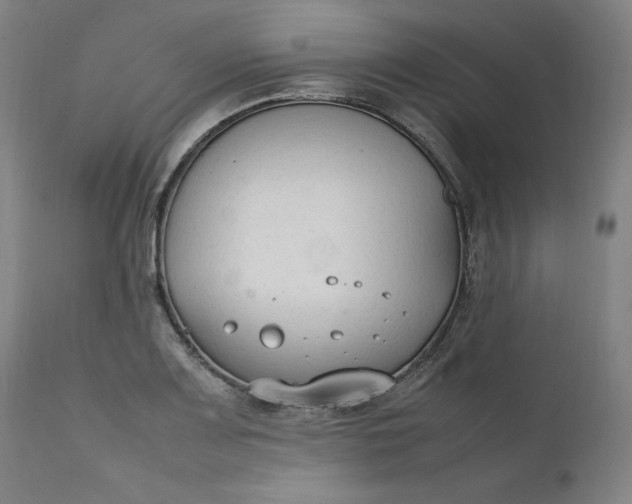 X0000111211083200907151432