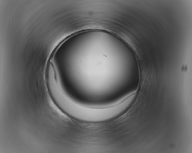 X0000111211084200907151432