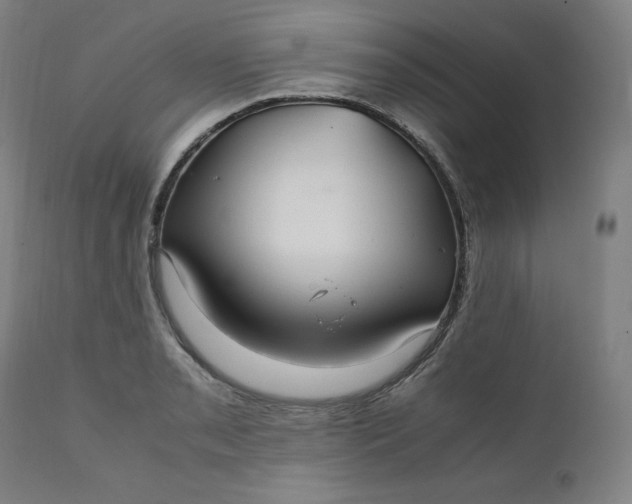 X0000111211085200907151432