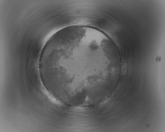 X0000111211086200907151432