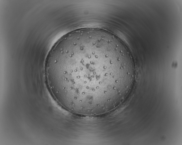 X0000111211087200907151432