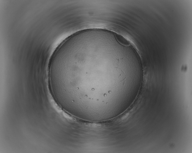 X0000111211088200907151432