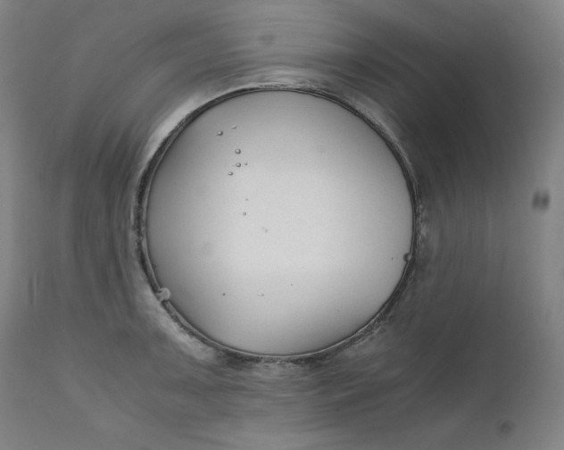 X0000111211091200907151432