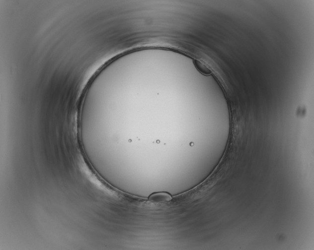 X0000111211092200907151432