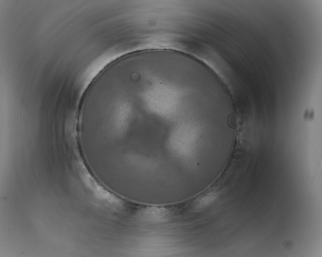 X0000111211094200907151432