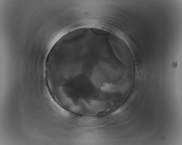 X0000111211095200907151432