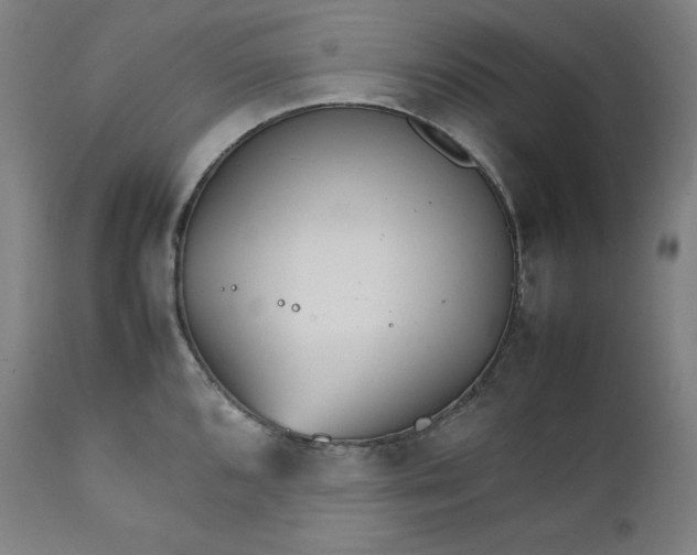 X0000111211096200907151432