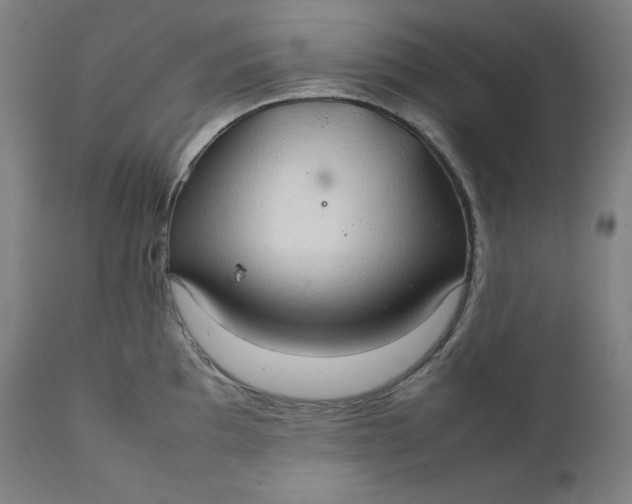 X0000111211097200907151432