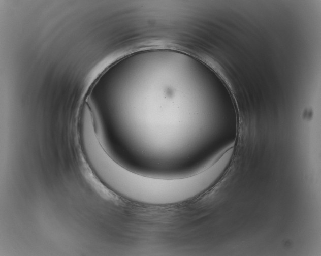 X0000111211098200907151432