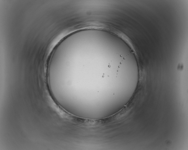 X0000111211099200907151432