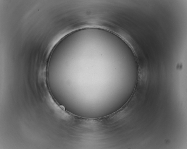 X0000111211100200907151432