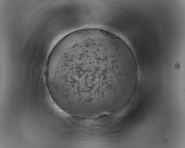 X0000111211102200907151432