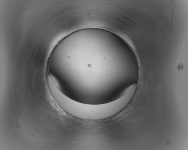 X0000111211104200907151432