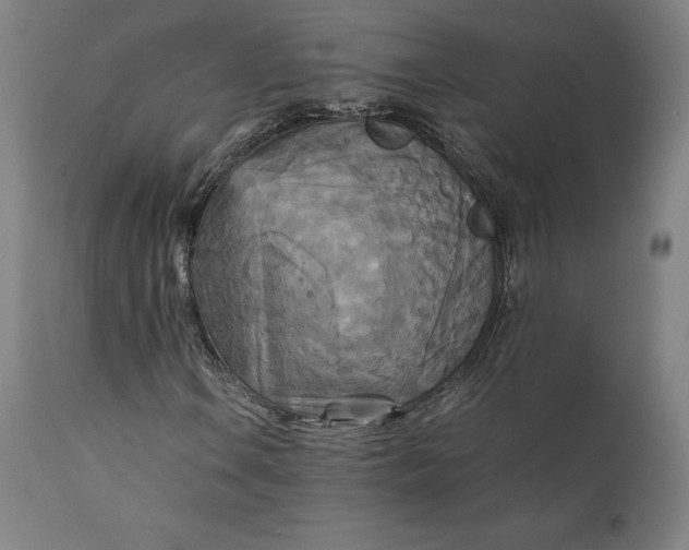 X0000111211106200907151431