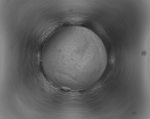 X0000111211108200907151431