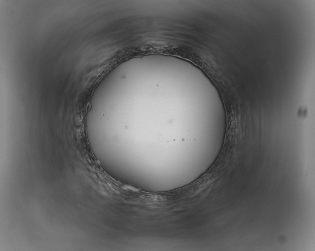 X0000111211109200907151431