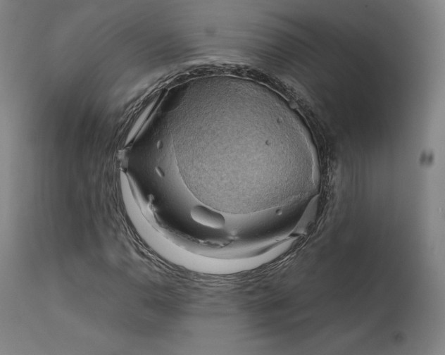 X0000111211110200907151431