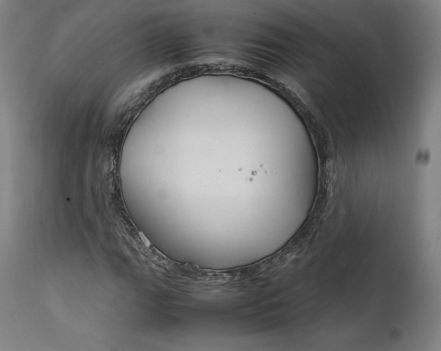 X0000111211111200907151431