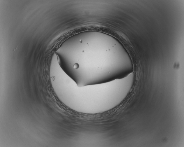 X0000111211112200907151431