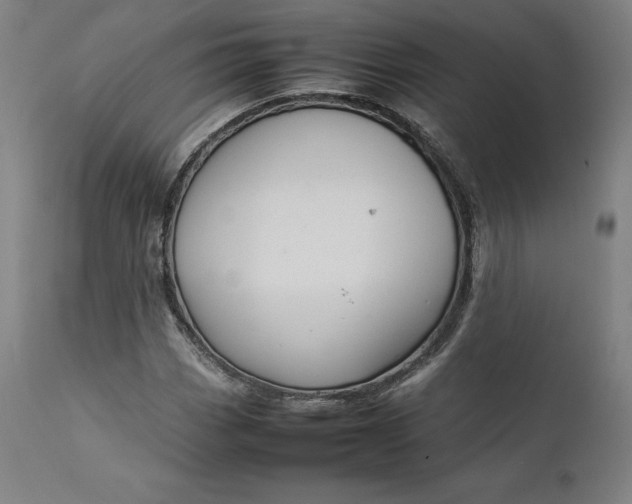 X0000111211113200907151431