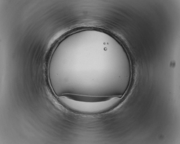 X0000111211114200907151431