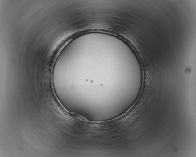 X0000111211115200907151431