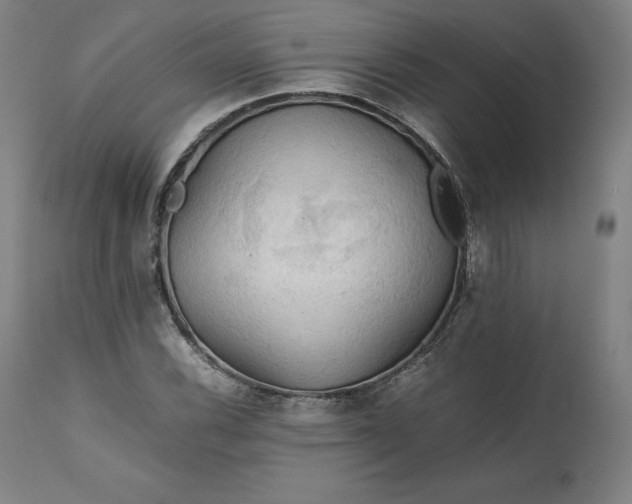 X0000111211116200907151431