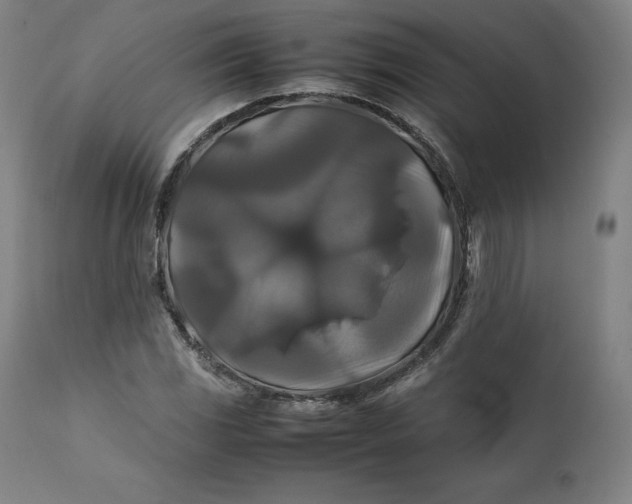 X0000111211117200907151431