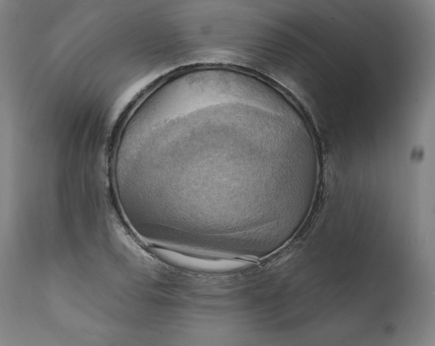 X0000111211120200907151431