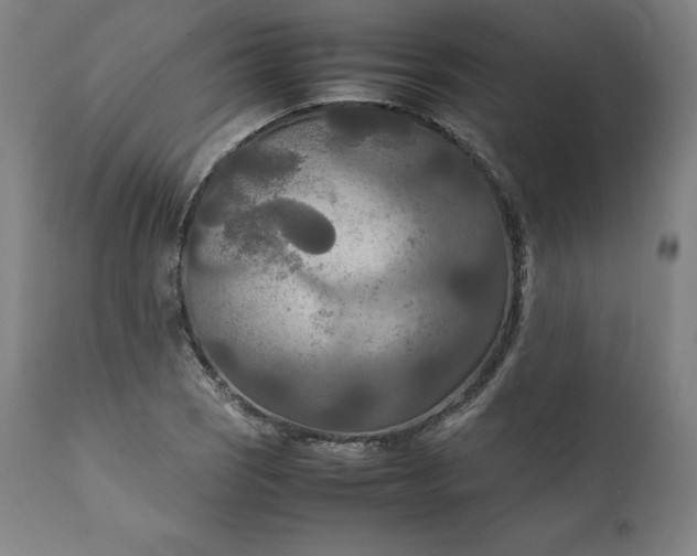 X0000111211121200907151431