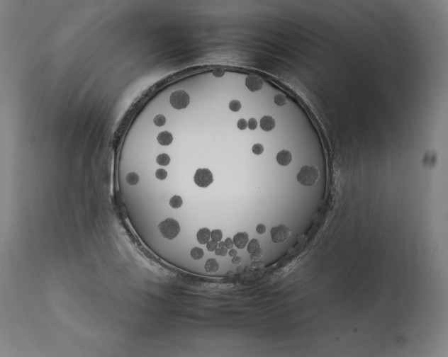 X0000111211123200907151431