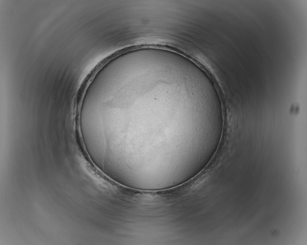 X0000111211124200907151431