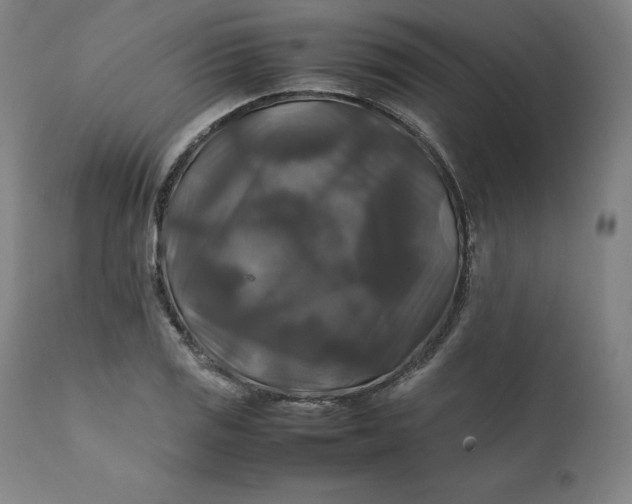 X0000111211125200907151431