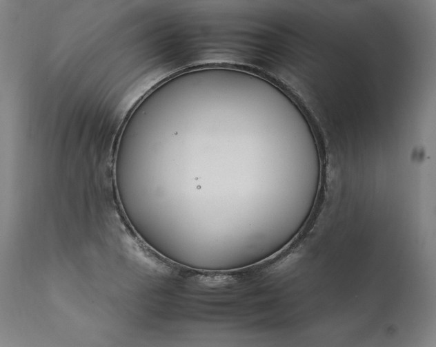 X0000111211129200907151431