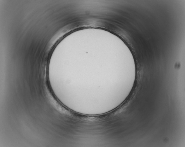 X0000111211130200907151431