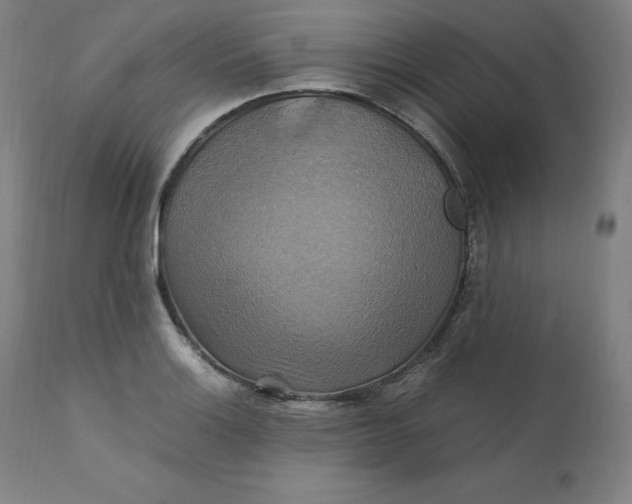 X0000111211132200907151431