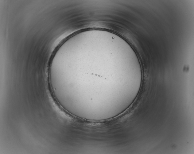 X0000111211133200907151431