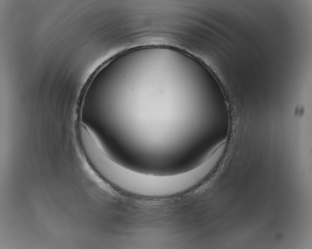 X0000111211134200907151431