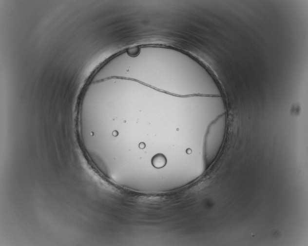 X0000111211135200907151431