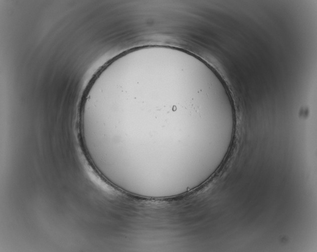 X0000111211136200907151431