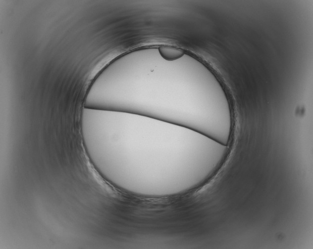 X0000111211137200907151431