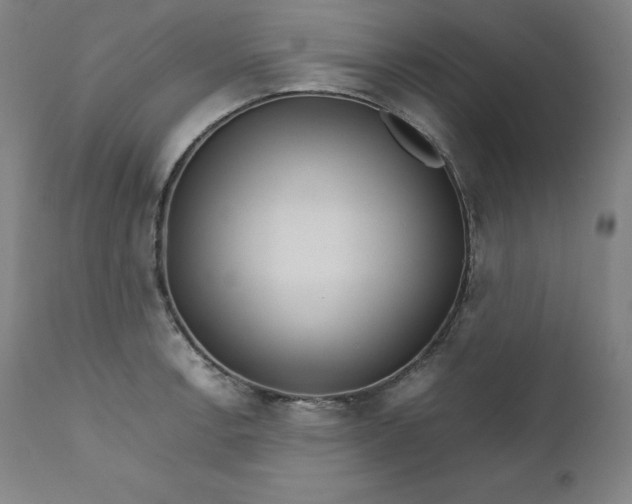 X0000111211138200907151431