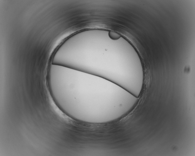 X0000111211139200907151431