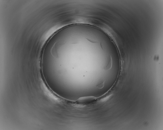 X0000111211141200907151431