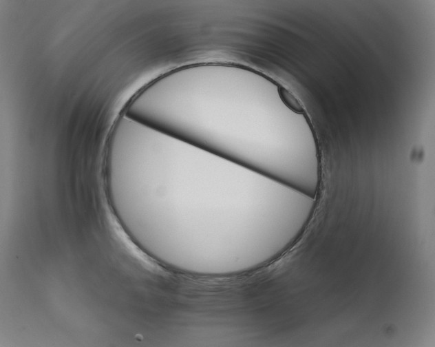 X0000111211142200907151432